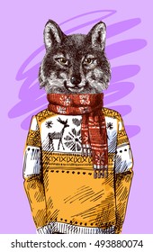 Wolf in knitted sweater. Vector illustration for greeting card, poster, or print on clothes. Fashion Style drawing. Hipster.