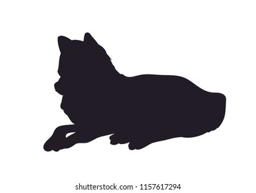 wolf lays silhouette, vector, white background