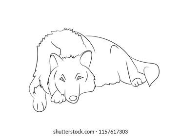 wolf lies lines, vector, white background