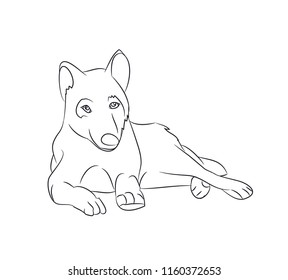 wolf lies lines, vector, white background, wolf lies, lines, vector