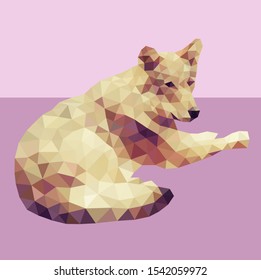 Wolf lies resting on the ground
