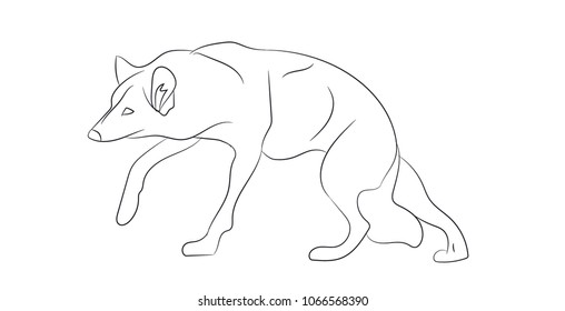 wolf lines, vector, white background
