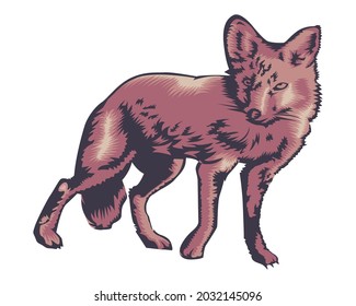 Wolf logo design vector Illustration in vintage style for your business.