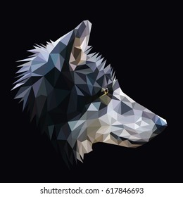 Wolf low poly design. Triangle vector illustration.