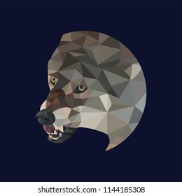 Wolf Low poly. Vector.
