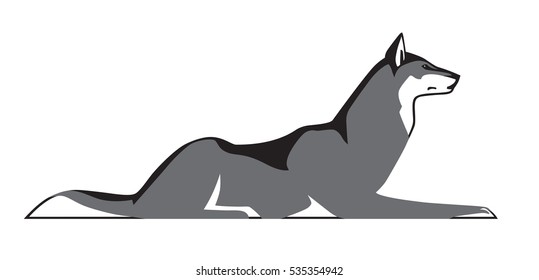 Wolf lying down, vector isolated on white background.