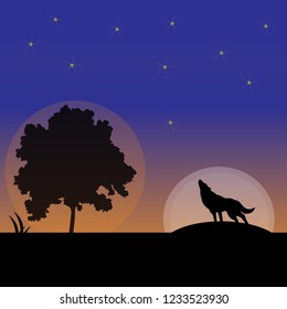 wolf, moon, night