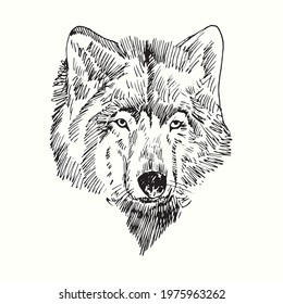 38 Woodcut coyote Images, Stock Photos & Vectors | Shutterstock