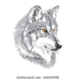 Wolf muzzle sketch