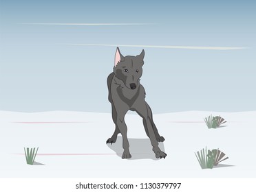 wolf on nature background, vector