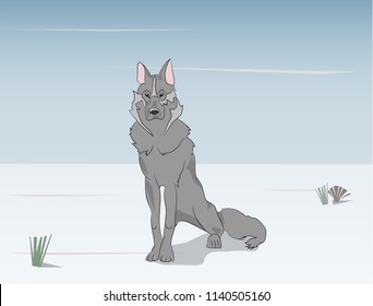 wolf on nature background, vector