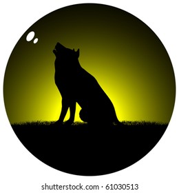 wolf on night time