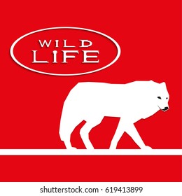 A wolf on a red background with the inscription "wild life". Vector illustration.