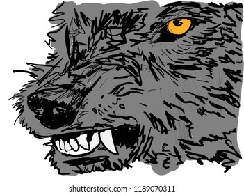 wolf on the white