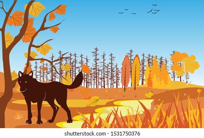 The wolf on wildlife,  golden autumn forest landscape, vector illustration.
