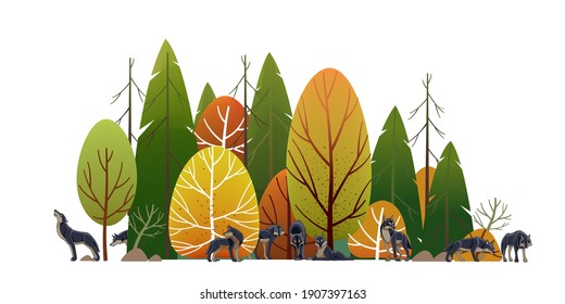 Wolf pack in the forest. Timber wolves hunt. Landscape, Green trees park, alley and foliage in summer with animals. Row of trees and shrubs. Cartoon vector illustration isolated on white background.