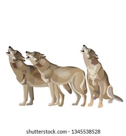 Wolf pack howling. Vector illustration isolated on white background