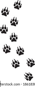 wolf paw prints track vector illustration