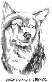 Wolf pencil sketch
