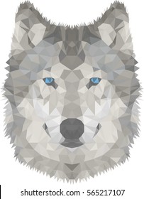 Wolf polygonal graphics vector illustration