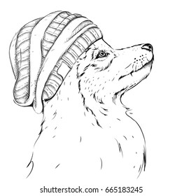Wolf portrait. Wolf in a hat. Hand draw vector illustration