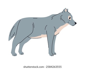 Wolf portrait, isolated wild carnivorous mammal with furry coat. Vector creature of Canis lupus dog family, hunting and living in pack. Forest woods canine animals, wildlife and natural fauna