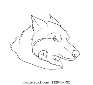 wolf portrait, lines, vector, white background