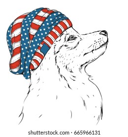 Wolf portrait. Wolf in a USA hat. Hand draw vector illustration