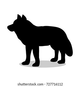 Wolf predator black silhouette animal