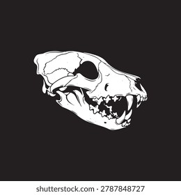 Wolf Predator Skull Profile Vector Illustration on Black