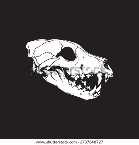 Wolf Predator Skull Profile Vector Illustration on Black