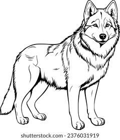 Wolf Realistic Animal Hand Drawn Illustration Vector For Coloring Book
