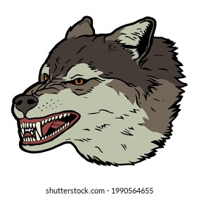 Wolf roaring head side view. Aggressive animal realistic vector illustration isolated.