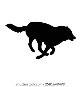 Wolf Running Pack Vector Silhouette.