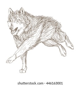 wolf running sketch icon