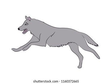 wolf runs, image color, vector, white background