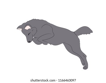 wolf runs, image color, vector, white background