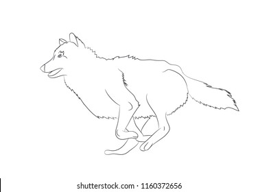 Loup Noir Et Blanc Images Photos Et Images Vectorielles De Stock Shutterstock