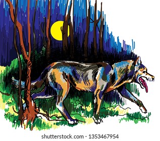 The wolf runs through the night forest. Night sky. Multicolored drawing. Wolf, Husky.