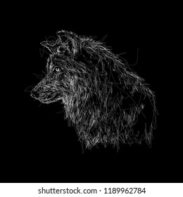 wolf in scribble art with black background