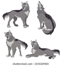 Wolf set. Ilustración vectorial con contorno y color.