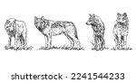 wolf - set of wolves, hand drawn black and white vector illustrations isolated on white background