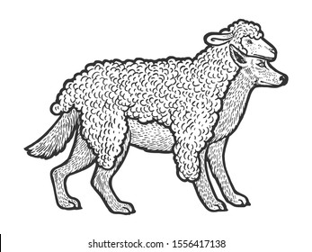 Wolf in sheep's clothing sketch engraving vector illustration. T-shirt apparel print design. Scratch board style imitation. Black and white hand drawn image.