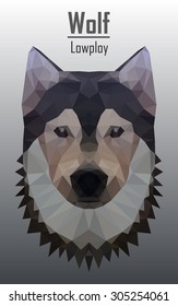 wolf , siberian husky ,alaskan malamute dog low poly ,triangle