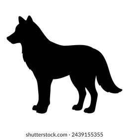 wolf silhouette isolated on white