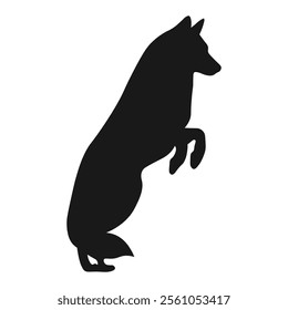 Wolf silhouette isolated on white background. Vector 