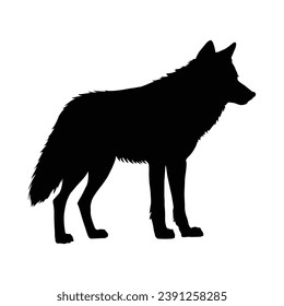 Wolf Silhouette on White Background.