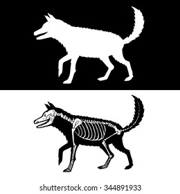 Wolf Silhouette And Skeleton