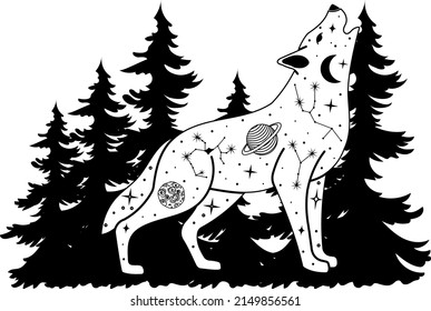 Wolf. Wolf silhouette. Vector illustration.