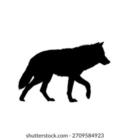 silhueta de lobo - ilustração vetorial	